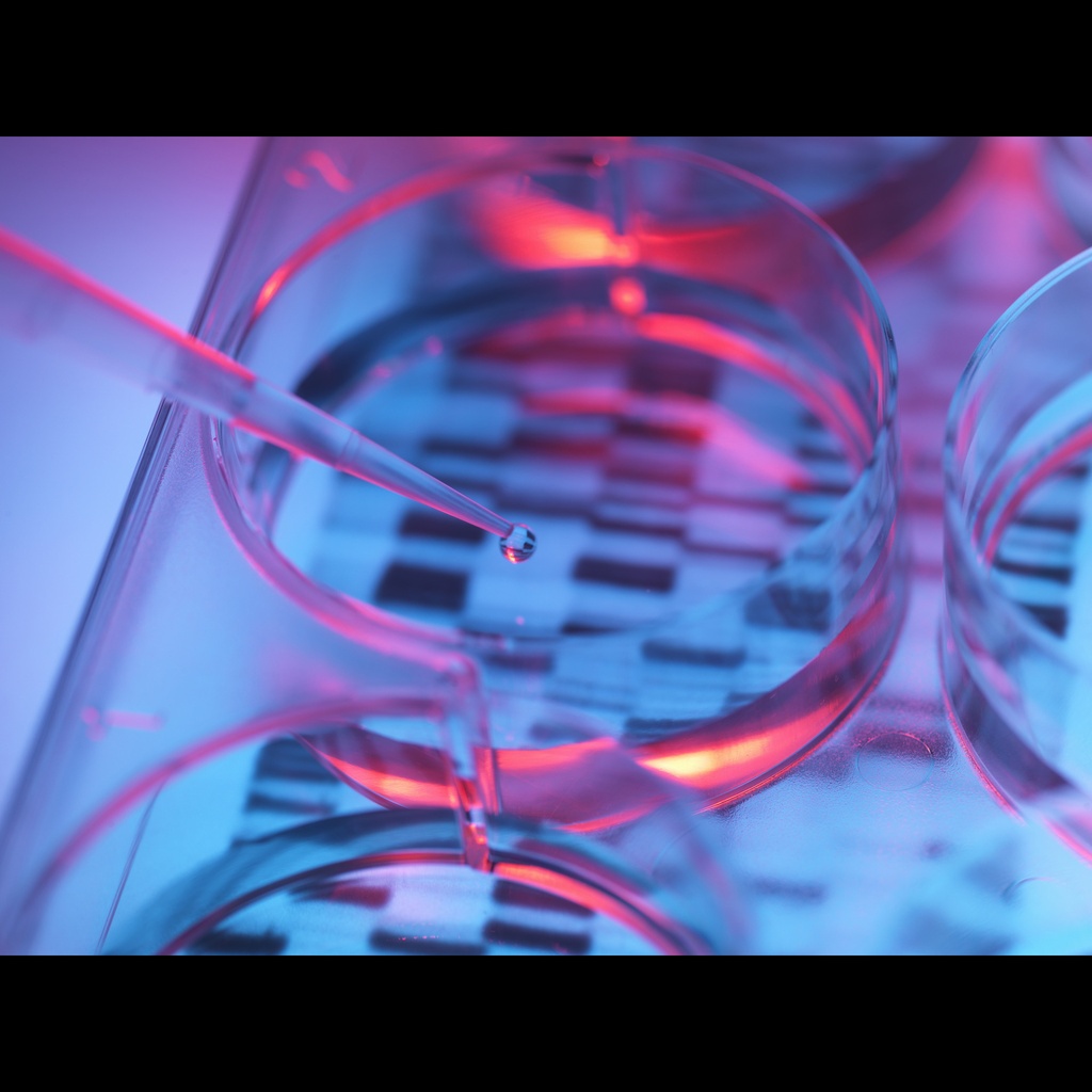 isize:Taq DNA Polymerase with Buffer, dNTPs size: 250 Units