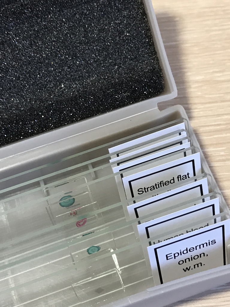 Slide Storage Boxes