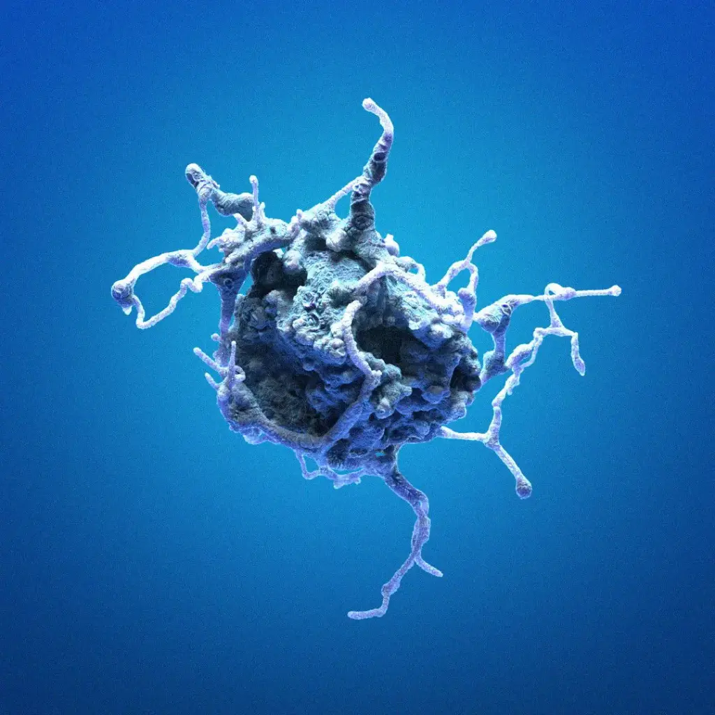 HK-CRISPR-CAP-H2-mEGFP Cells