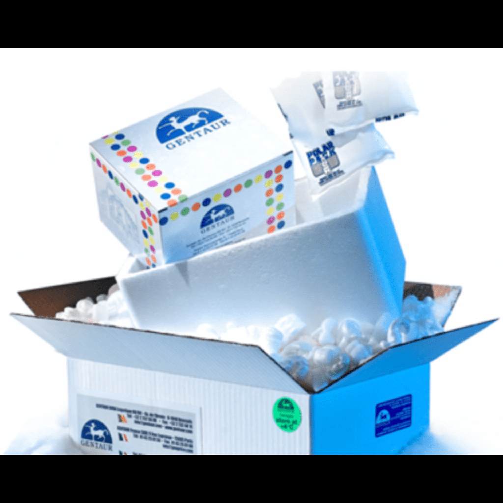 IL13RA2, 27size:343aa, Human, hIgGsize:Hissize:tag, Baculovirus size: 0.01 mg