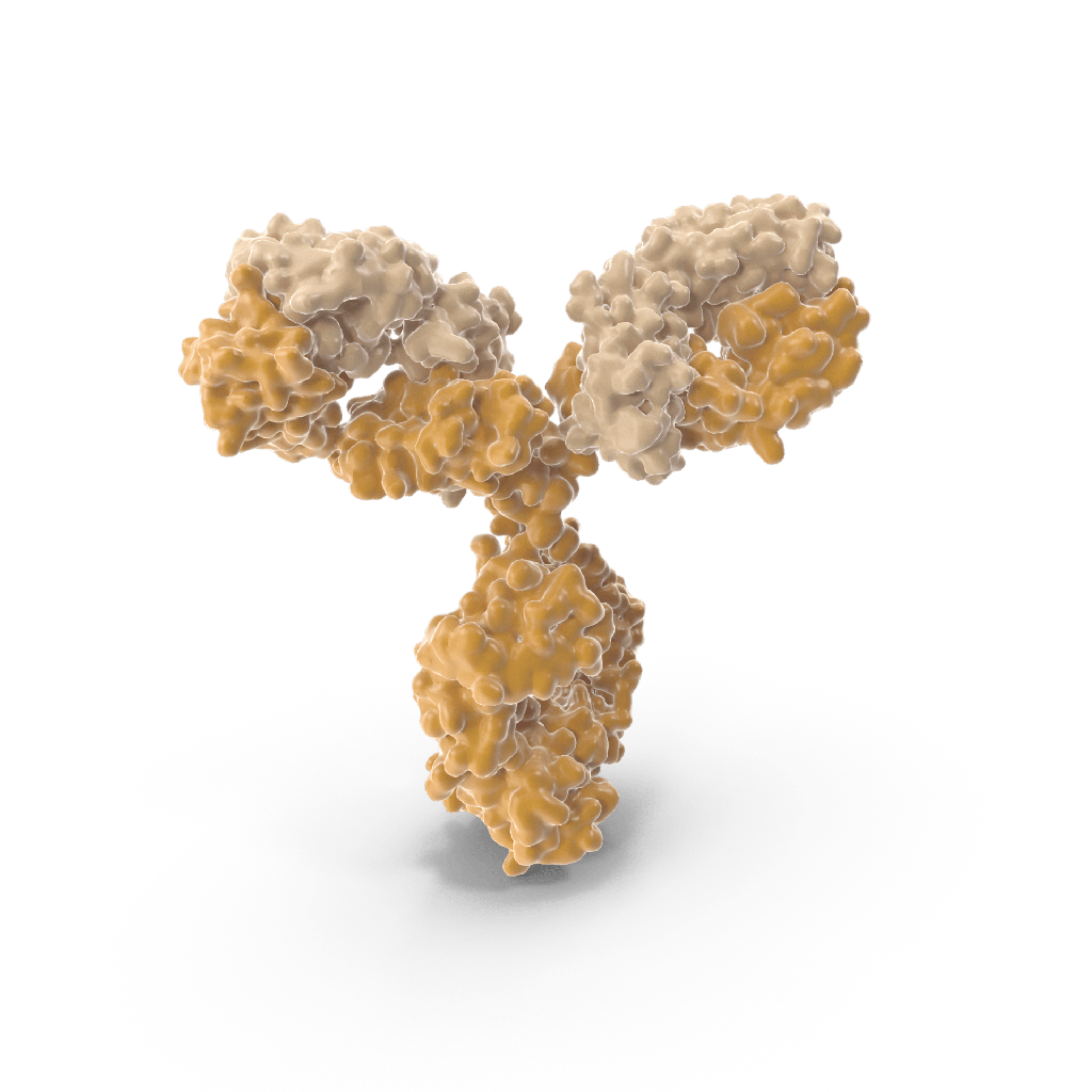 Ileitis Antibody ELISA Kit, 192T